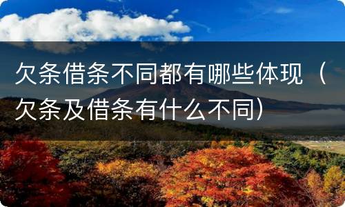 欠条借条不同都有哪些体现（欠条及借条有什么不同）