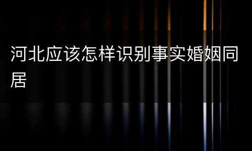 河北应该怎样识别事实婚姻同居