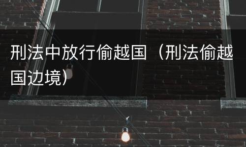 刑法中放行偷越国（刑法偷越国边境）
