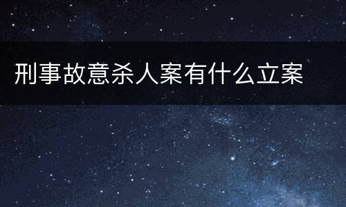 刑事故意杀人案有什么立案