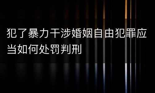 犯了暴力干涉婚姻自由犯罪应当如何处罚判刑