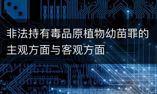 非法持有毒品原植物幼苗罪的主观方面与客观方面