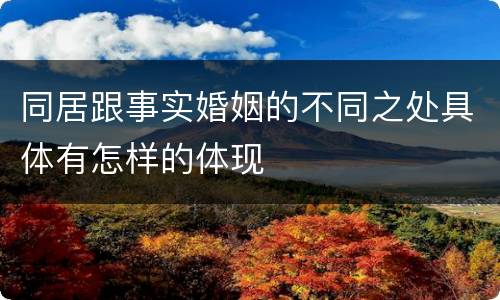 同居跟事实婚姻的不同之处具体有怎样的体现