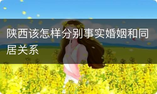 陕西该怎样分别事实婚姻和同居关系