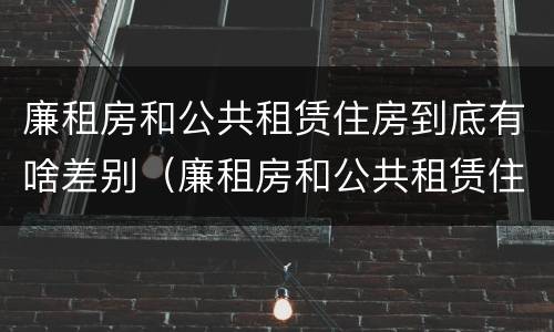 廉租房和公共租赁住房到底有啥差别（廉租房和公共租赁住房到底有啥差别吗）