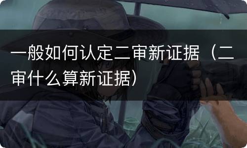 一般如何认定二审新证据（二审什么算新证据）