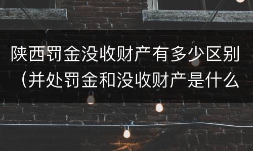 陕西罚金没收财产有多少区别（并处罚金和没收财产是什么意思）