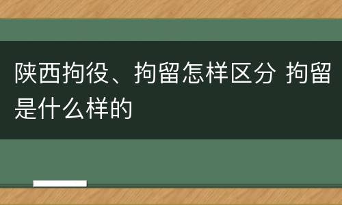 陕西拘役、拘留怎样区分 拘留是什么样的