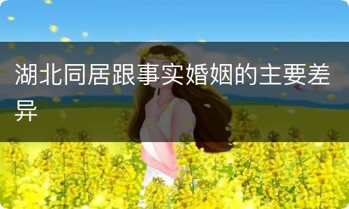 湖北同居跟事实婚姻的主要差异