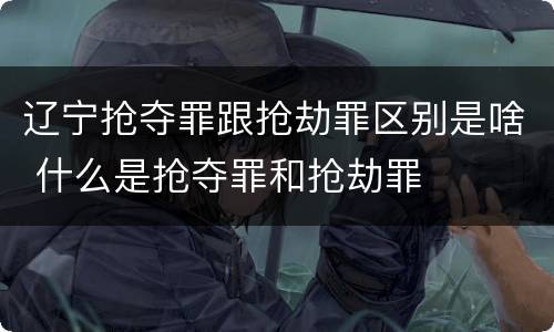 辽宁抢夺罪跟抢劫罪区别是啥 什么是抢夺罪和抢劫罪
