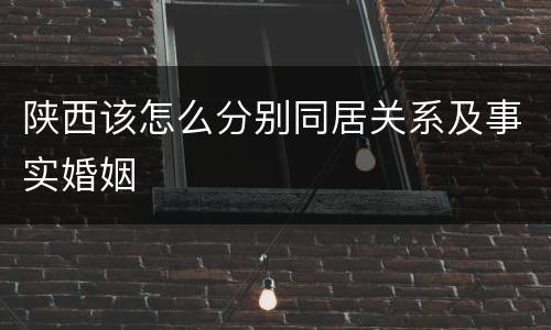 陕西该怎么分别同居关系及事实婚姻