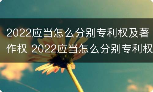 2022应当怎么分别专利权及著作权 2022应当怎么分别专利权及著作权归属