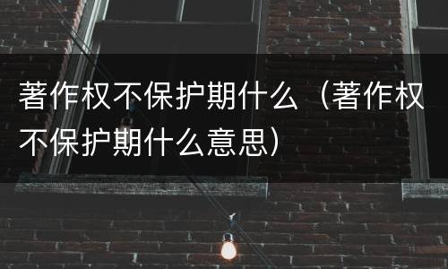 著作权不保护期什么（著作权不保护期什么意思）