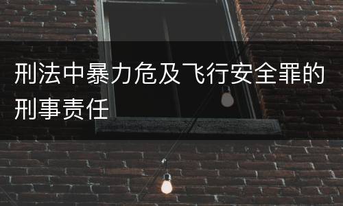 刑法中暴力危及飞行安全罪的刑事责任
