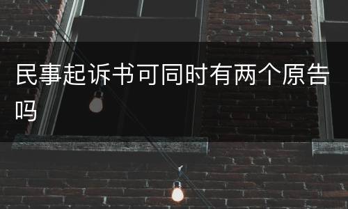 民事起诉书可同时有两个原告吗