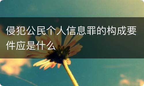侵犯公民个人信息罪的构成要件应是什么
