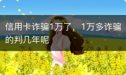 信用卡诈骗1万了，1万多诈骗的判几年呢