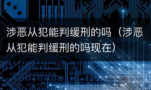 涉恶从犯能判缓刑的吗（涉恶从犯能判缓刑的吗现在）