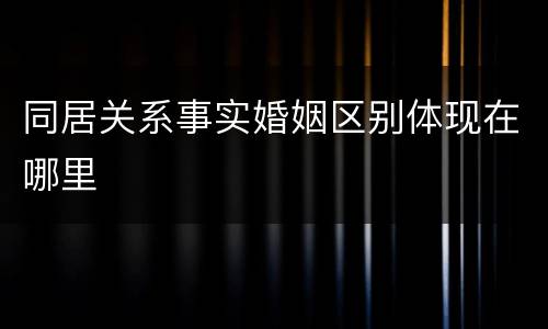 同居关系事实婚姻区别体现在哪里