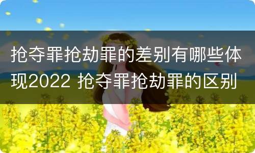 抢夺罪抢劫罪的差别有哪些体现2022 抢夺罪抢劫罪的区别