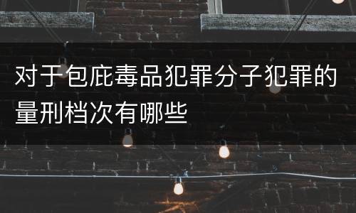 对于包庇毒品犯罪分子犯罪的量刑档次有哪些