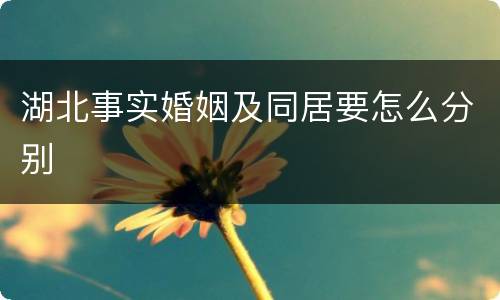 湖北事实婚姻及同居要怎么分别