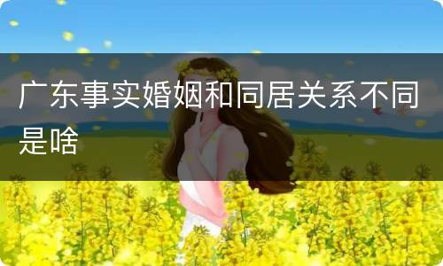广东事实婚姻和同居关系不同是啥