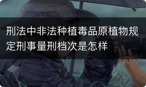 刑法中非法种植毒品原植物规定刑事量刑档次是怎样