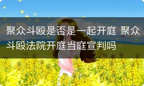 聚众斗殴是否是一起开庭 聚众斗殴法院开庭当庭宣判吗