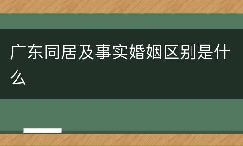 广东同居及事实婚姻区别是什么