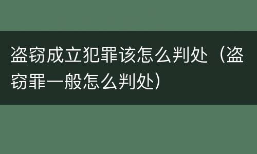 盗窃成立犯罪该怎么判处（盗窃罪一般怎么判处）