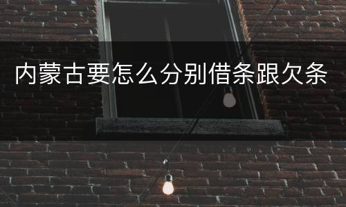 内蒙古要怎么分别借条跟欠条