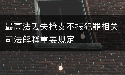 最高法丢失枪支不报犯罪相关司法解释重要规定