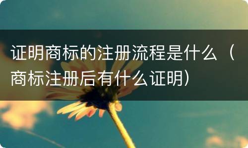 证明商标的注册流程是什么（商标注册后有什么证明）