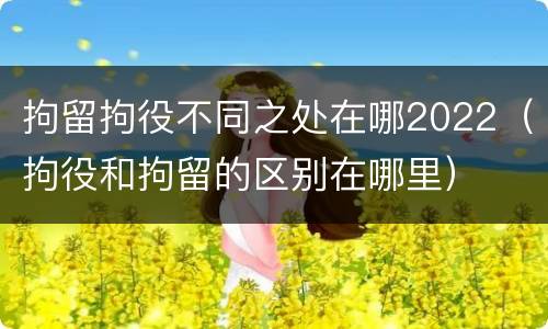 拘留拘役不同之处在哪2022（拘役和拘留的区别在哪里）