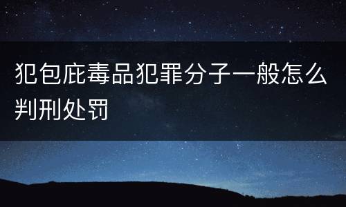 犯包庇毒品犯罪分子一般怎么判刑处罚