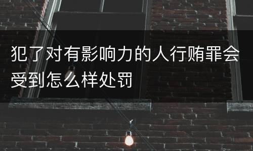 犯了对有影响力的人行贿罪会受到怎么样处罚