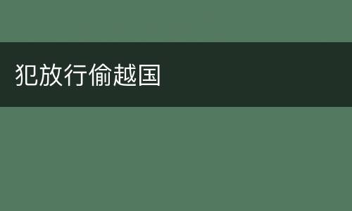 犯放行偷越国