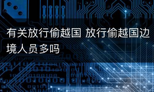 有关放行偷越国 放行偷越国边境人员多吗