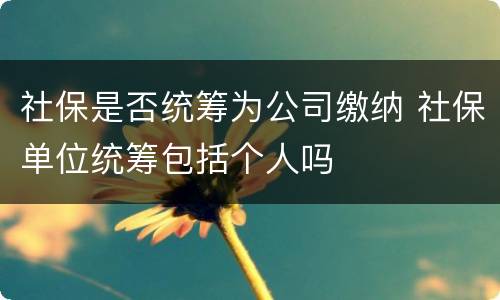 社保是否统筹为公司缴纳 社保单位统筹包括个人吗