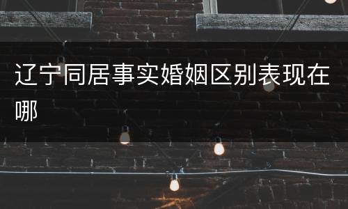 辽宁同居事实婚姻区别表现在哪