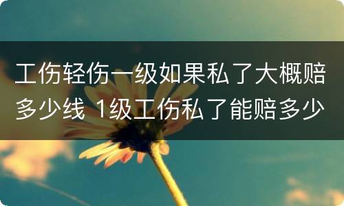 工伤轻伤一级如果私了大概赔多少线 1级工伤私了能赔多少
