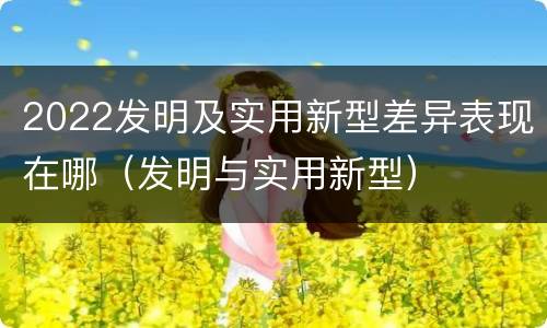 2022发明及实用新型差异表现在哪（发明与实用新型）