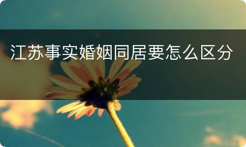 江苏事实婚姻同居要怎么区分