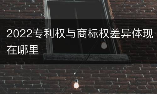 2022专利权与商标权差异体现在哪里