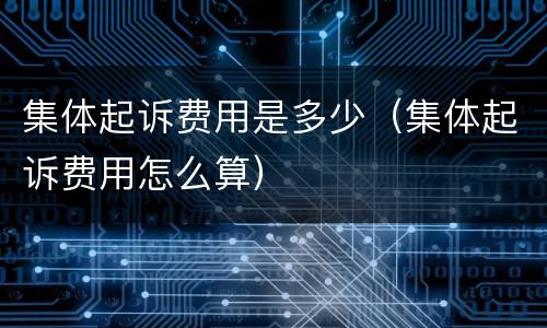 集体起诉费用是多少（集体起诉费用怎么算）