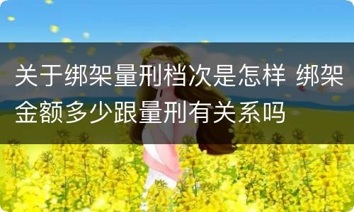 关于绑架量刑档次是怎样 绑架金额多少跟量刑有关系吗