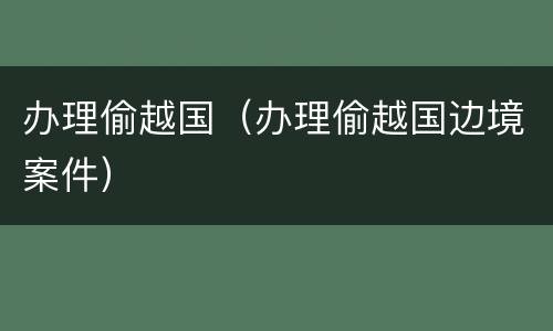 办理偷越国（办理偷越国边境案件）