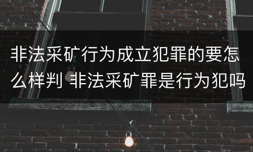 非法采矿行为成立犯罪的要怎么样判 非法采矿罪是行为犯吗