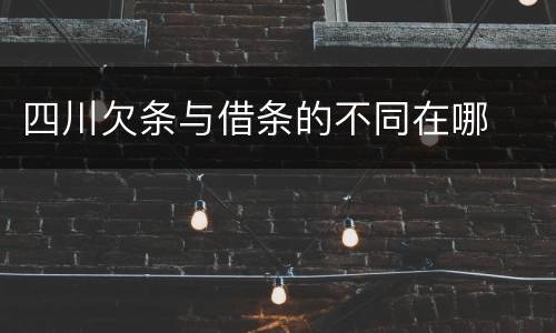 四川欠条与借条的不同在哪